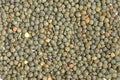 Uncooked green lentils background