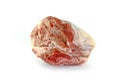 Uncooked Half shoulder of lamb. Royalty Free Stock Photo