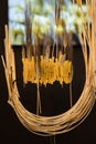 Uncooked Italian Pasta -Penne- arranged Next to each Other with Wheat Thorns Tucked inside them