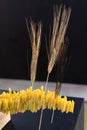 Uncooked Italian Pasta -Penne- arranged Next to each Other with Wheat Thorns Tucked inside them