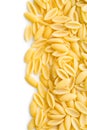 Uncooked italian pasta