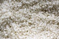 Uncooked italian rice, white background