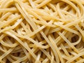 uncooked italian spaghetti pasta