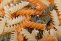 Uncooked Italian Spiral Pasta Royalty Free Stock Photo