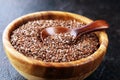 Uncooked linseed in wooden spoon, rustic style. Healthy linseed