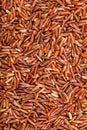 Uncooked long-grain Red Kernel rice
