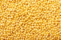 Uncooked millet background. Abstract food texture. Royalty Free Stock Photo