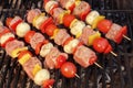 Uncooked Mixed Pork Meat And Vegetables Kebabs On The Grill Royalty Free Stock Photo