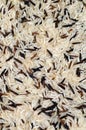 Uncooked Mixed Rice Royalty Free Stock Photo