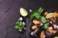 Uncooked mussels on ice with cilantro and coriander Royalty Free Stock Photo