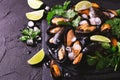 Uncooked mussels on ice with cilantro and coriander Royalty Free Stock Photo