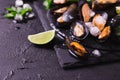 Uncooked mussels on ice with cilantro and coriander Royalty Free Stock Photo