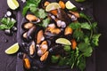 Uncooked mussels on ice with cilantro and coriander Royalty Free Stock Photo