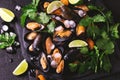 Uncooked mussels on ice with cilantro and coriander Royalty Free Stock Photo