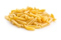 Uncooked pasta caserecce Royalty Free Stock Photo