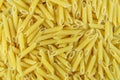 Uncooked pasta macro