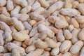 Uncooked peanut shells arranged for industrial style roasting process, Raw peanut shells with textured surfaces ready for artisan Royalty Free Stock Photo