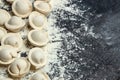 Uncooked pelmeni. Process of making pelmeni, ravioli or dumplings with meat. baking background, banner, menu, recipe place for Royalty Free Stock Photo