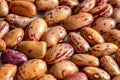 Uncooked pinto beans closeup