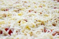 Uncooked pizza Royalty Free Stock Photo