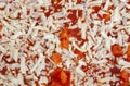 Uncooked pizza Royalty Free Stock Photo