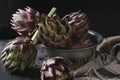 Uncooked purple artichokes
