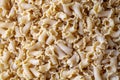 Uncooked raw Campanelle pasta background Royalty Free Stock Photo