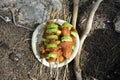 Uncooked raw fresh chicken with vegetables shashlik waiting for cooking on a bbq barbeque grill Royalty Free Stock Photo