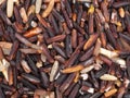 Uncooked Riceberry rice in close up Royalty Free Stock Photo