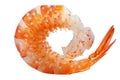 Raw shrimp with orange spots isolated on white background Royalty Free Stock Photo