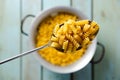 Uncooked spiral pasta in a spoon. Royalty Free Stock Photo