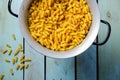 Uncooked spiral pasta in a strainer. Royalty Free Stock Photo