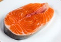 Uncooked steak of arctic char on dish close-up Royalty Free Stock Photo