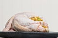 Uncooked stuffed turkey Royalty Free Stock Photo