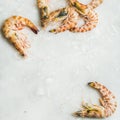 Uncooked tiger prawns on chipped ice, square crop Royalty Free Stock Photo