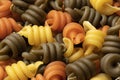 Uncooked Trottole tricolore pasta close up full frame