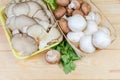 Uncooked various cultivated mushrooms and greens on wooden rustic table