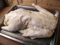 Uncooked whole goose