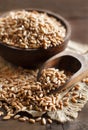 Uncooked whole spelt in a bowl with a wooden spoon Royalty Free Stock Photo