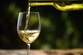 uncorking a white wine bottle Royalty Free Stock Photo