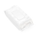 a blank image of a Wet Wipes Pack isolated on a white background