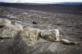 Uncovered Dinosaur fossils beneath the sands in the Nazca desert. Ica, Peru