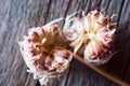 Uncovered overripe garlic with small seeds lies on a wooden table