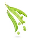 Uncovered pea pod in the air isolated on a white background Royalty Free Stock Photo