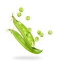 Uncovered pea pod in the air on a white background Royalty Free Stock Photo