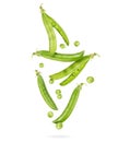 Uncovered pea pods in the air, isolated on a white background Royalty Free Stock Photo