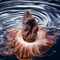 Uncovering the Beauty of Giant Corpse Flowers in Crystal Clear Waters Royalty Free Stock Photo