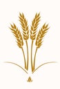 Uncovering the Secrets of the Golden Wheat: A Classified Archive