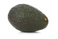 Uncut, whole, ripe avocado fruit Royalty Free Stock Photo