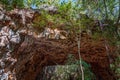 Undara Lava Tubes Delicate Ecosystem On Tour Australia